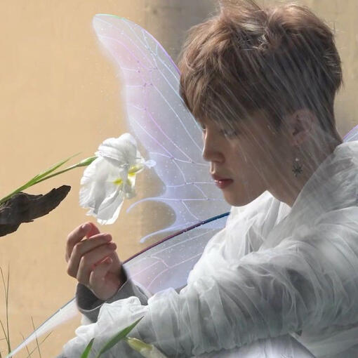Fairy